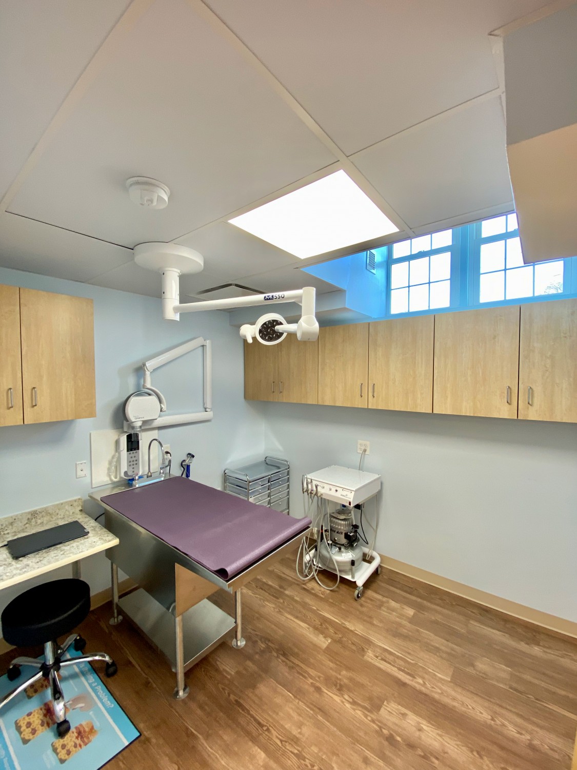 Dentistry Suite